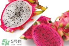 3月份有火龍果吃嗎？三月份可以吃火龍果嗎？