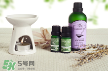 阿芙精油可以去痘印嗎？阿芙精油能不能去痘?。?></strong><br/></p><h4>身體保養(yǎng)</h4><p>1、泡澡</p><p>在浴缸中加入5~6滴阿芙茶樹精油，攪拌均勻，然后像平時一樣泡澡，可以有效控油，讓肌膚清新滑爽。</p><p>2、泡腳</p><p>在一盆熱水中加入2~3滴阿芙茶樹精油，攪拌均勻，用來泡腳10分鐘，可以有效治療香港腳。</p><p>3、涂在灰指甲上</p><p>在灰指甲上滴1滴阿芙茶樹精油，堅持使用，漸漸就會有健康的指甲長出來。</p><p>4、漱口</p><p>在一杯溫開水中加入1~2滴阿芙茶樹精油，攪拌均勻，用來漱口，可以改善牙齦出血、腫痛。</p><h4>消毒熏香</h4><p>1、熏香</p><p>在熏香爐中加入2~3滴阿芙茶樹精油，既可以讓香氣散發(fā)在室內(nèi)，還可以凈化空氣中的細(xì)菌、病毒和蚊蟲。</p><p>2、洗內(nèi)衣</p><p>洗內(nèi)衣時，在水里加入3~4滴阿芙茶樹精油，能夠有效殺滅細(xì)菌病毒、去除異味，預(yù)防感染婦科炎癥。</p><p>3、家庭清潔</p><p>在一桶清水中加入6滴阿芙茶樹精油，可用來洗抹布、碗盤、擦地板、擦桌子等，有助于殺菌，并消除污垢。</p> </div>
<div align=