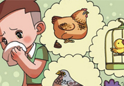 如何區(qū)分感冒和禽流感？禽流感和感冒的區(qū)別