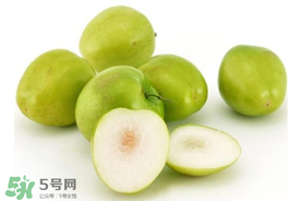 青棗可以泡酒嗎？青棗泡酒喝有什么好處？