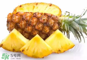 菠蘿批發(fā)多少錢(qián)一斤？菠蘿批發(fā)價(jià)格