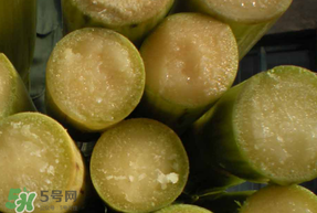 甘蔗要洗嗎？吃甘蔗時(shí)要用鹽水洗嗎？