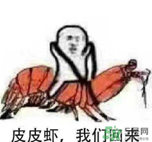 說人皮皮蝦是什么意思？女生叫男生皮皮蝦什么意思？