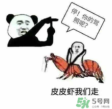 皮皮蝦為何突然火了？皮皮蝦怎么火的？