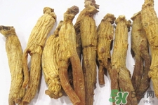 高麗參適合什么人吃？什么人不能吃高麗參？