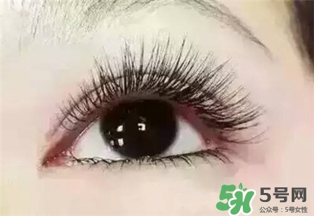 孕睫術(shù)是什么？孕睫術(shù)有用嗎？