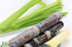 甘蔗發(fā)霉能吃嗎？吃了發(fā)霉的甘蔗怎么辦？