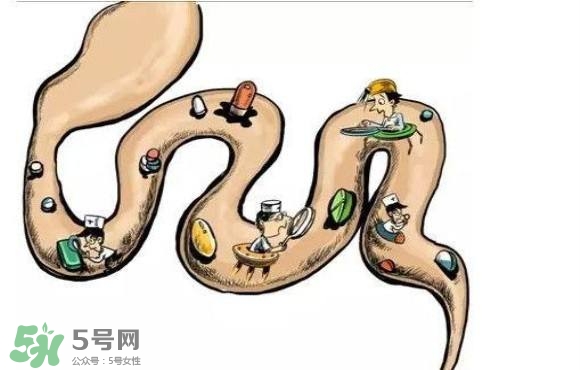 便秘吃什么藥好？便秘吃什么藥最快排便？