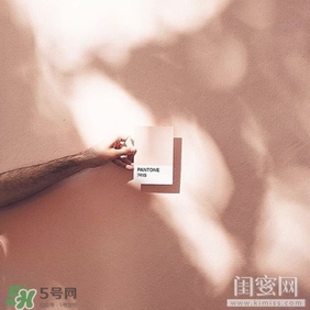 肉桂色口紅哪個牌子好？肉桂色口紅推薦