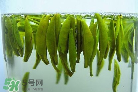 紫砂壺可以泡什么茶？紫砂壺喝什么茶好？