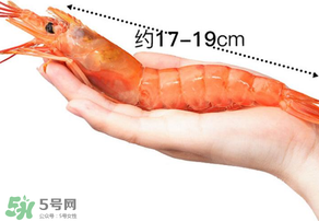 活蝦灌膠水是真的嗎？活蝦灌膠水人吃了會有什么害處？