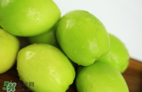 青棗吃多了會(huì)胖嗎？吃青棗會(huì)不會(huì)發(fā)胖？