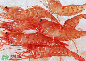 蝦凍了一年還能吃嗎？蝦凍了半年還能吃嗎？
