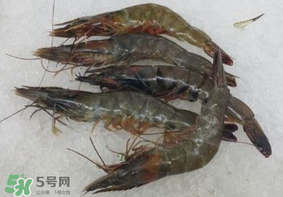 青蝦變黑了還能吃嗎？青蝦為什么變黑？