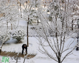 春天下雪意味著什么？春天為什么會(huì)下雪？