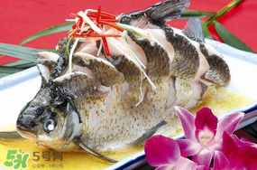 魚有禽流感嗎？吃魚會得禽流感嗎？