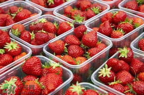 草莓爛了點皮可以吃嗎？草莓表皮發(fā)白是爛了嗎？