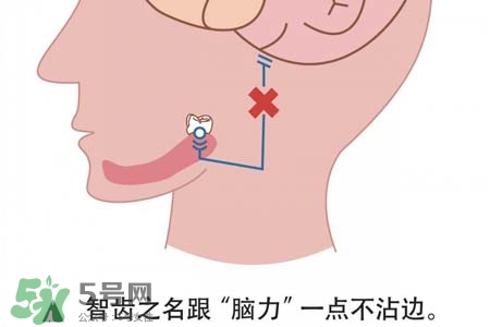 智齒會(huì)一直長嗎？智齒會(huì)停止生長嗎？