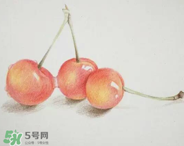 櫻桃有點苦怎么回事？櫻桃有點苦可以吃嗎？