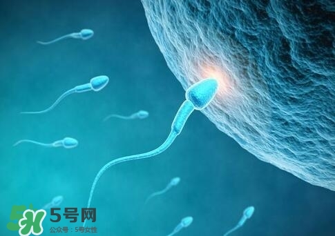 如何提高精子質(zhì)量與成活率？精子質(zhì)量怎么調(diào)理？