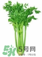 負(fù)卡路里的食物有哪些？負(fù)卡路里食物真的吃不胖嗎？