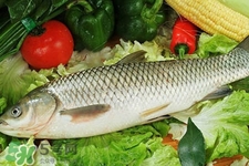 草魚能生吃嗎？草魚可以直接生吃嗎？