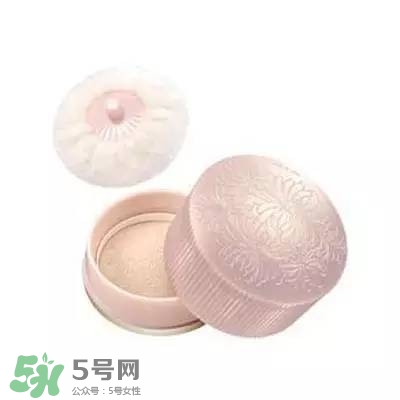 2017珠光散粉哪個牌子好？2017珠光散粉推薦