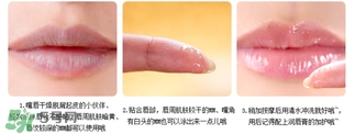 愛麗小屋唇部磨砂膏怎么樣？愛麗小屋唇部磨砂膏和悅詩風(fēng)吟哪個好？