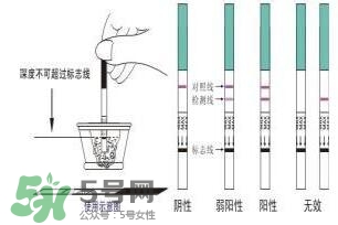 驗孕試紙準(zhǔn)嗎？驗孕試紙怎么看求圖解