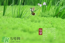 驚蟄出生的孩子好嗎？2017驚蟄出生的人運勢好嗎？