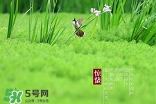 驚蟄如何養(yǎng)生？驚蟄前后如何養(yǎng)生？