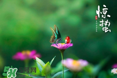 驚蟄如何養(yǎng)生？驚蟄前后如何養(yǎng)生？