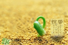 驚蟄打小人什么時(shí)間最好？驚蟄打小人幾點(diǎn)鐘合適？