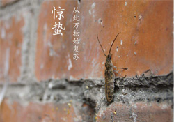 驚蟄可以去掃墓嗎？驚蟄可以去上墳嗎？