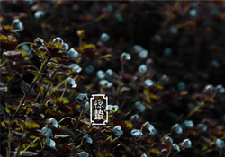 驚蟄節(jié)氣要注意什么？驚蟄節(jié)氣養(yǎng)生注意事項