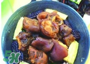 含膠原蛋白的食物有哪些？什么食物含膠原蛋白最多？
