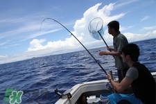 三月份可以釣魚了嗎？三月份好釣魚嗎？