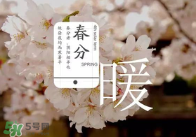 春分種什么菜？春分適合種什么菜？
