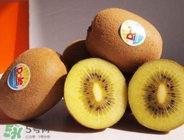 奇異果多少錢一斤？奇異果多少錢一個？