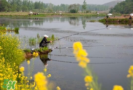 驚蟄前后好釣魚(yú)嗎？驚蟄前后釣魚(yú)技巧