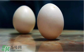 春分為什么能豎蛋？春分豎蛋原理