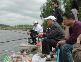 驚蟄過后好釣魚嗎？驚蟄后陰雨天好釣魚嗎？
