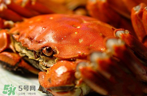 三月份吃什么螃蟹？3月份吃什么螃蟹？