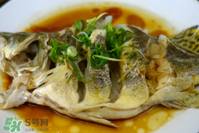 三月份吃什么魚(yú)？3月份吃什么魚(yú)好？