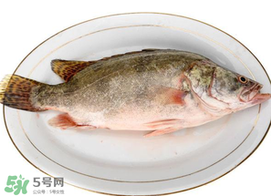 三月份吃什么魚(yú)？3月份吃什么魚(yú)好？
