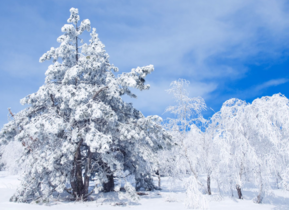 三月份還會(huì)下雪嗎？哈爾濱三月份還有雪嗎？