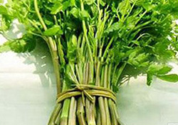 孕婦可以吃野芹菜嗎？孕婦吃野芹菜有什么好處？