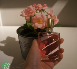 蘭蔻和迪奧香水哪個(gè)好？蘭蔻和迪奧香水推薦