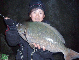 3月份釣魚用什么餌料？三月份釣魚用什么魚餌？