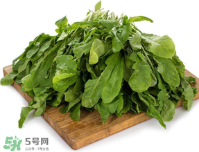 薺菜葉子黃了能吃嗎？薺菜發(fā)黃能吃嗎？
